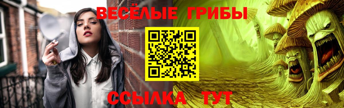 Киселёвск  Галлюциногенные грибы Psilocybine cubensis  Псилоцибиновые грибы прущие грибы  Вход с VPN 