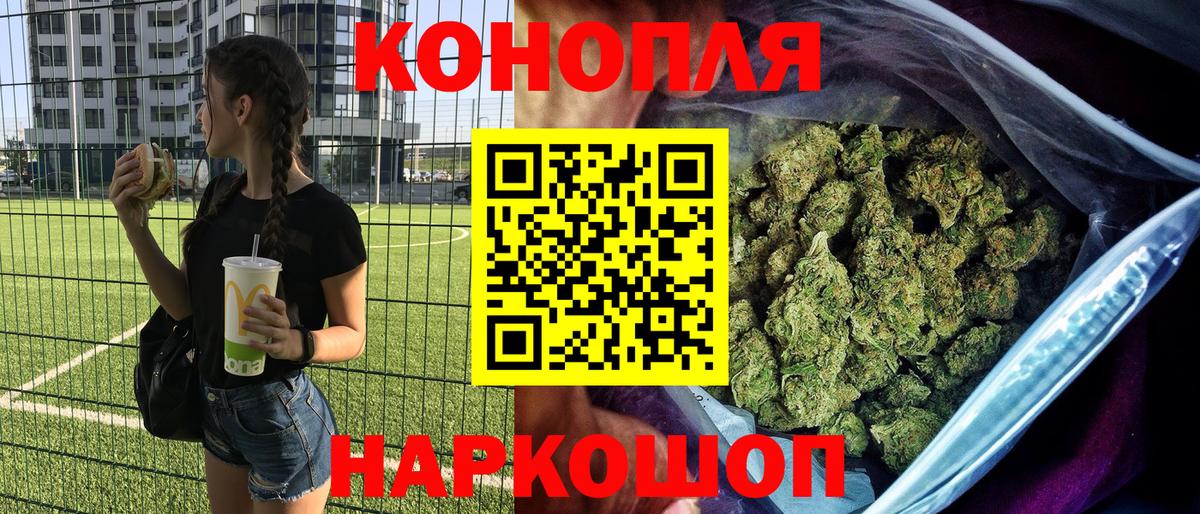 Канабис сатива Киселёвск